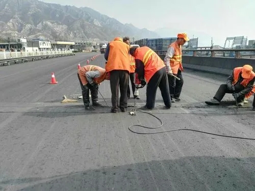 萧山道路桥梁病害治理